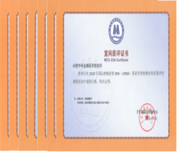 &#20339;&#21338;&#23448;&#26041;&#32593;&#39029;&#29256;&#45;&#20339;&#21338;&#65288;&#20013;&#22269;&#65289;